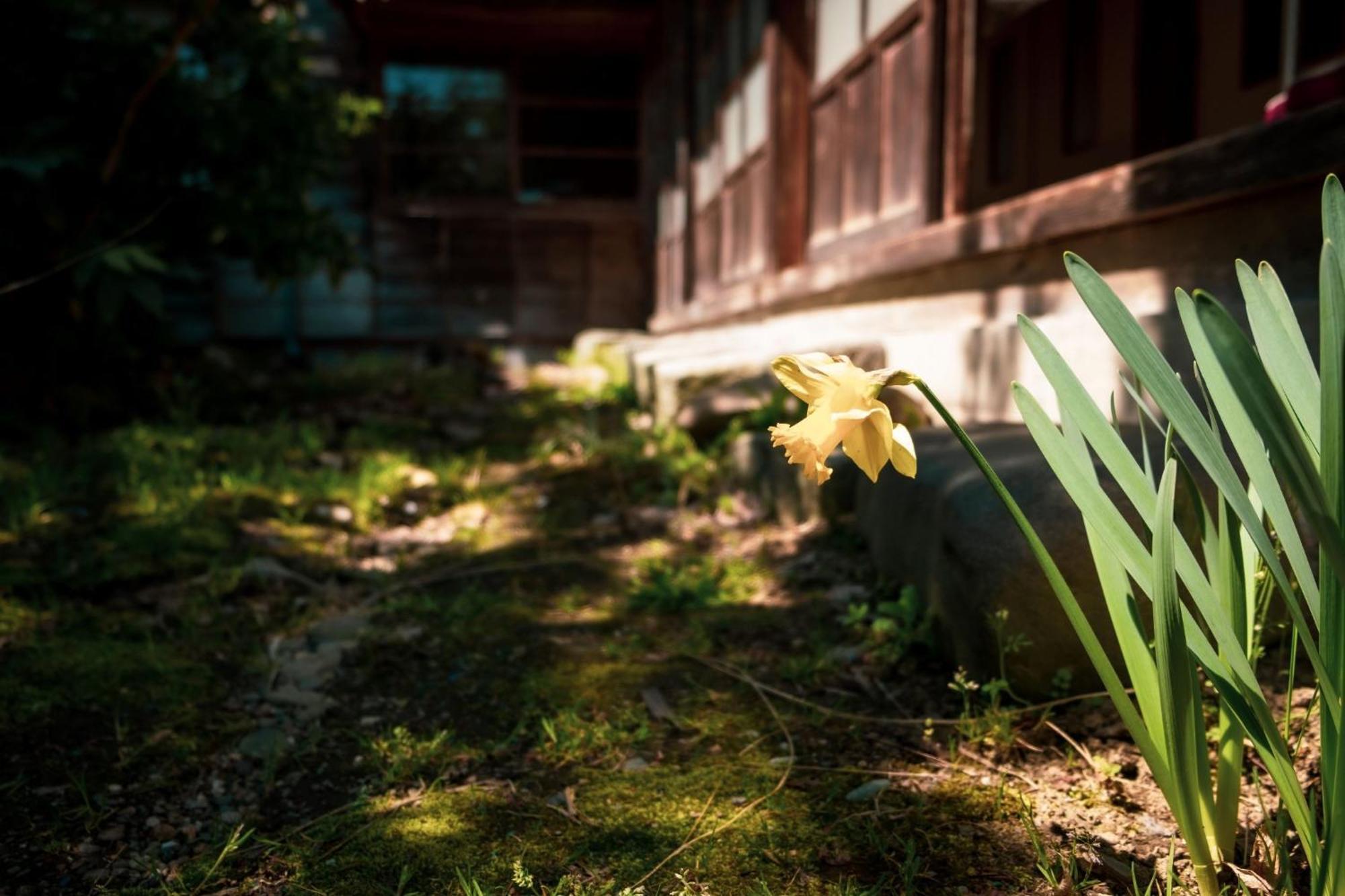 Honno Ryokan / Vacation Stay 60049 Yahaba Exterior foto